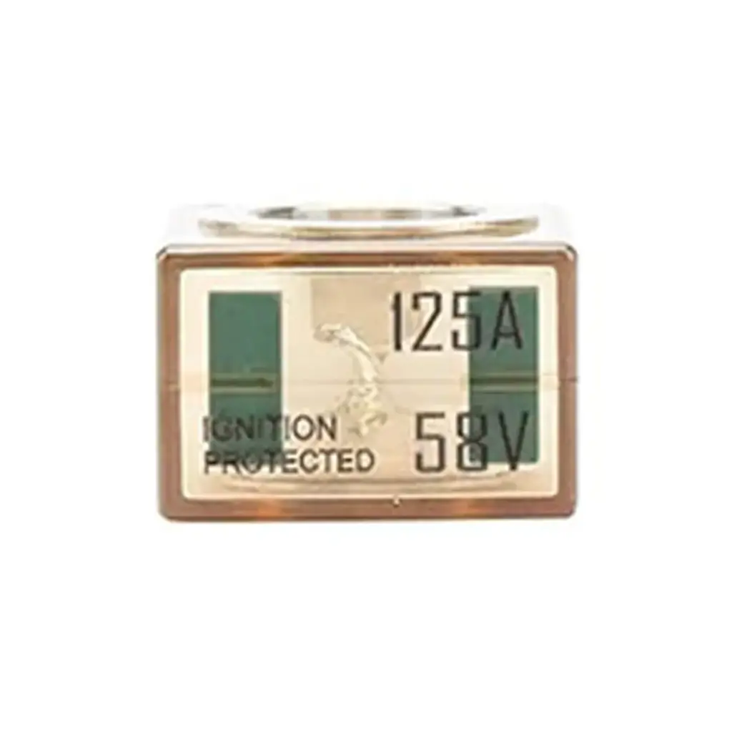 Alvolta 125A Battery Terminal Fuse (MRBF)